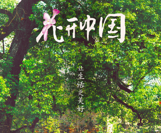 央视节目花开中国开播,海外看国内视频加载不出来怎么办?