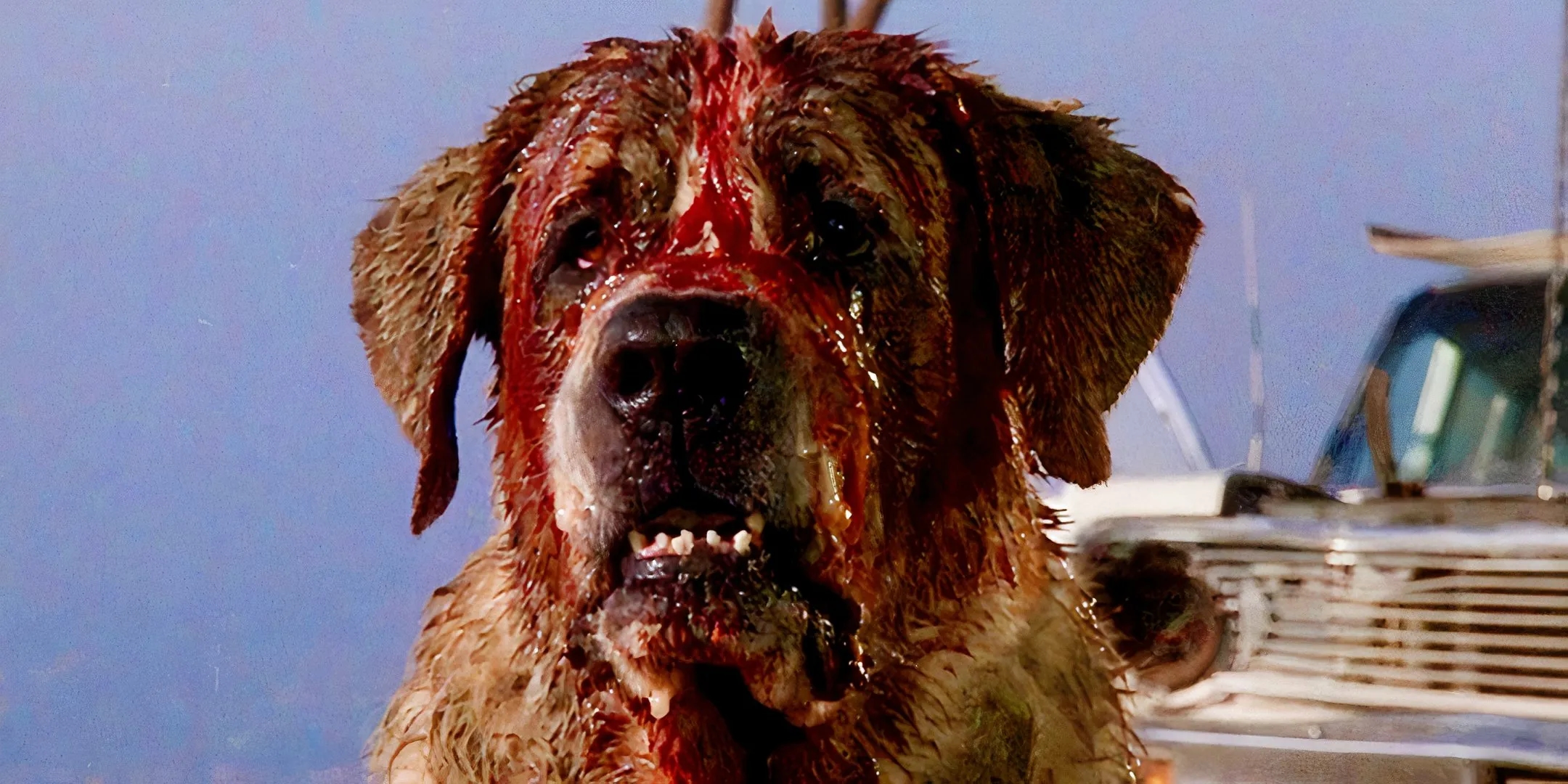 斯蒂芬·金经典恐怖片《狂犬惊魂》登陆流媒体，Netflix翻拍版蓄势待发