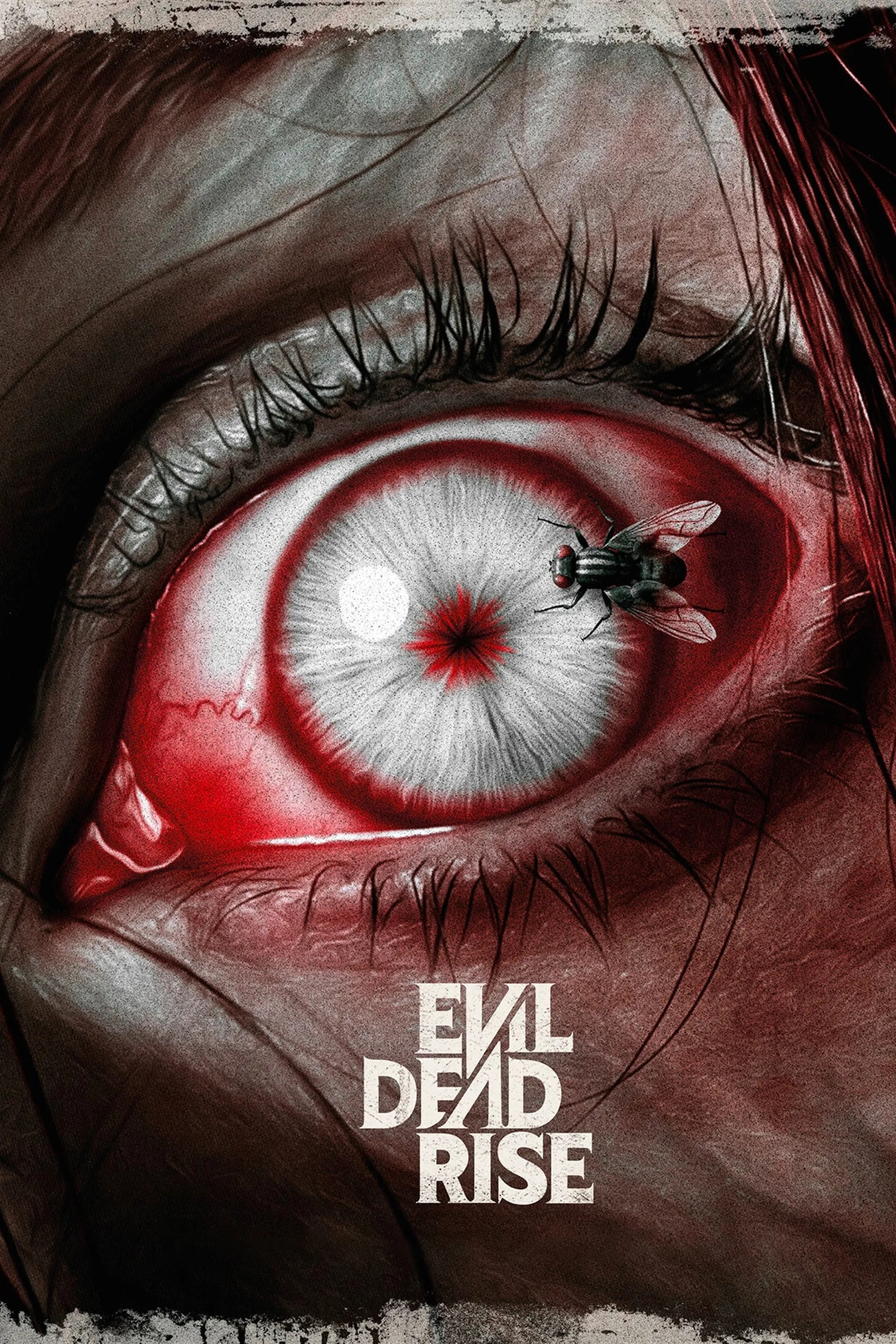 鬼玩人系列新作2026年上映，导演塞巴斯蒂安·瓦尼切克带来最新进展