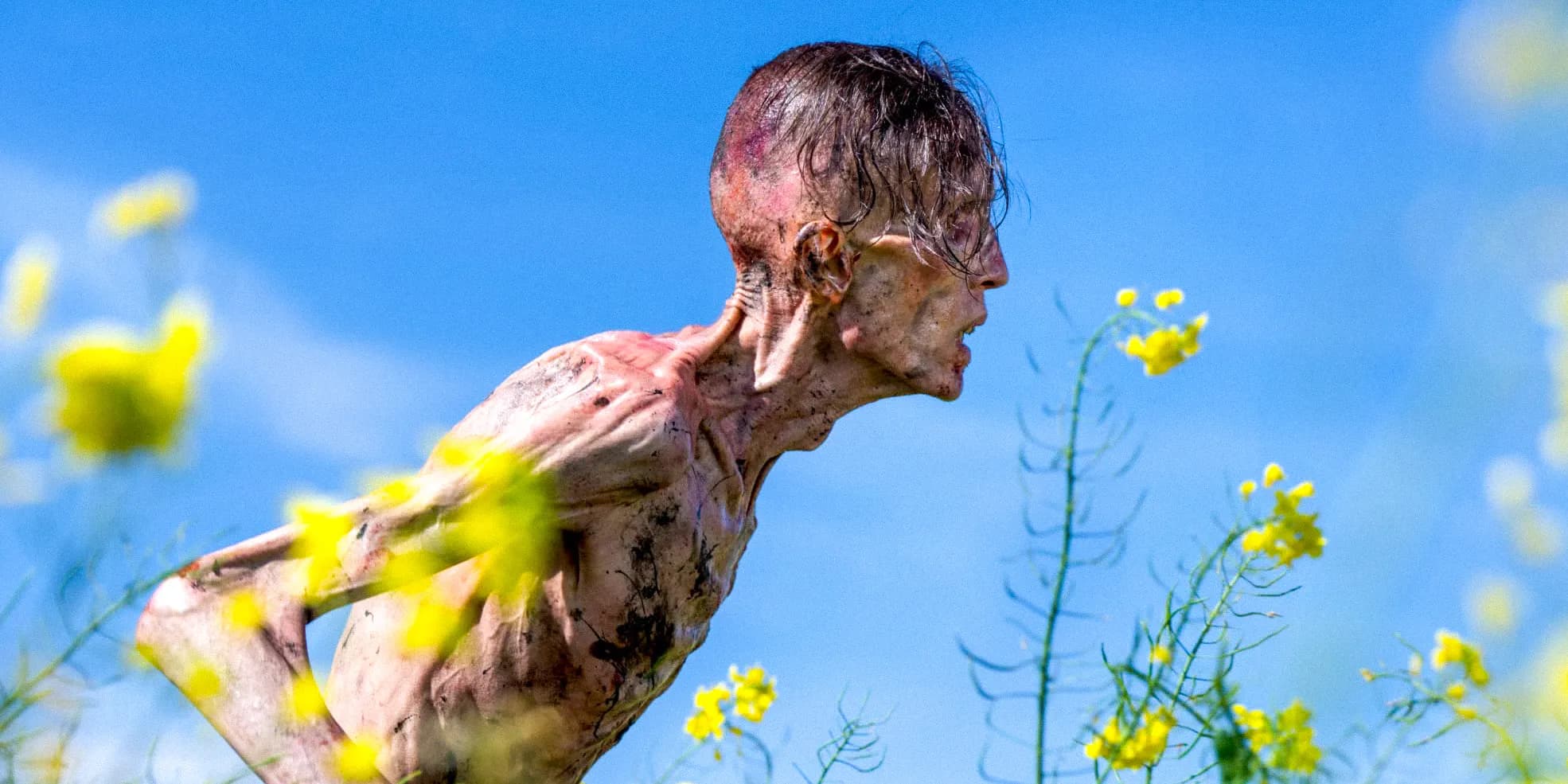 《28年后》全球票房突破6000万美元，系列电影未来可期