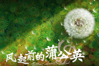 海外看爱奇艺画质不清晰如何解决？风起前的蒲公英上映爱奇艺！