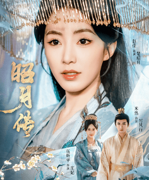 爱奇艺电视剧昭月传定档，在美国看爱奇艺无法播放如何解决？