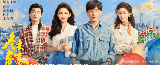 冬去春来定档0322爱奇艺开播，海外看爱奇艺打不开无法登录怎么办？