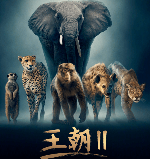 高考结束来看纪录片!纪录片王朝2正在热播