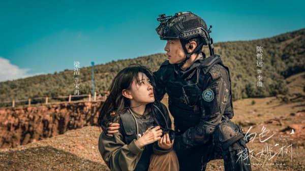 战火情缘:电视剧白色橄榄树引爆海外,带动四川旅游热潮