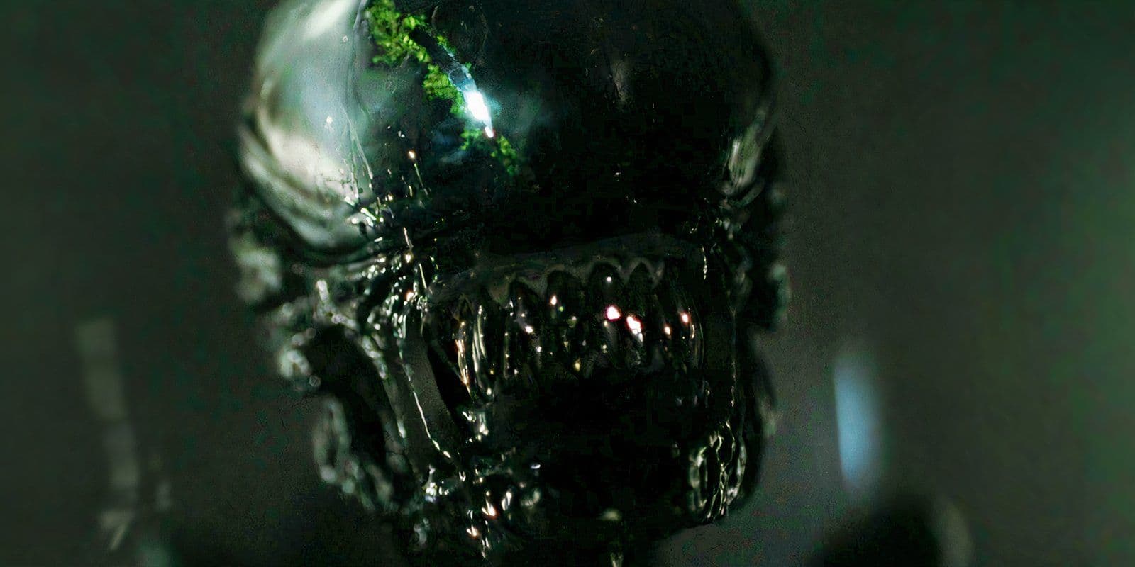 异形大战铁血战士新篇章?导演费德·阿尔瓦雷斯透露构想