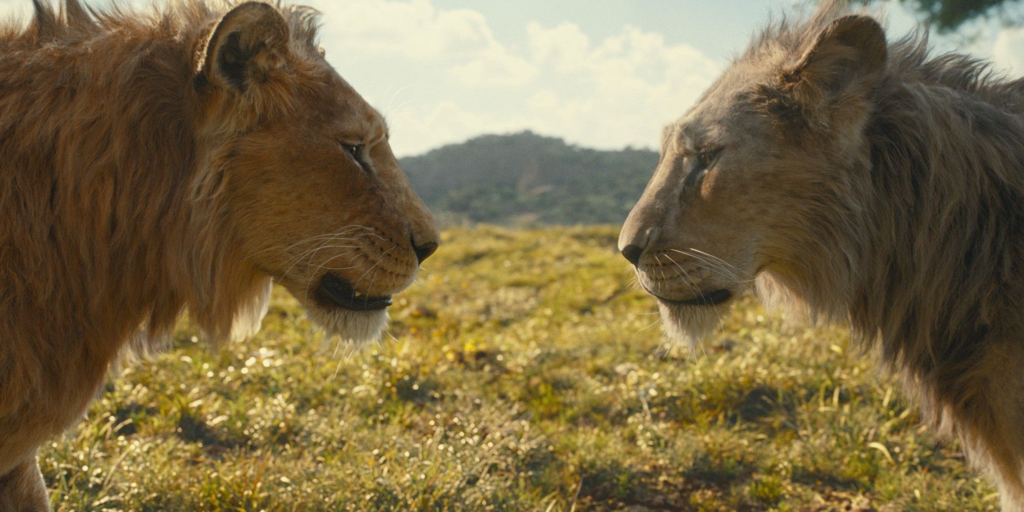 Mufasa: The Lion King票房突破7亿美元大关,迪士尼再创佳绩